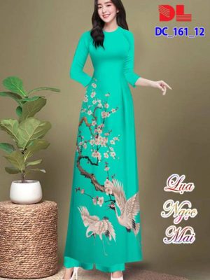 vai ao dai dep (2)